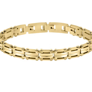 SECTOR - BRACCIALE ENERGY